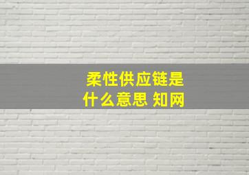 柔性供应链是什么意思 知网